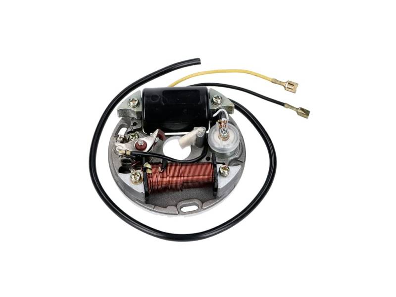 Zündplatte, Stator 6V, 17W, für Puch Maxi 1 Gang Automatik, E50 Motor von DS MOTION