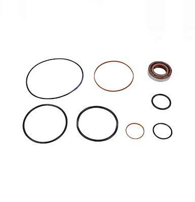 DT Spare Parts Dichtungssatz, Hydraulikpumpe 4.90498 81471016138,81471016157,81471016220 0004607580,A0004607580,2V5145039 DT Spare Parts Dichtungssatz, Hydraulikpumpe 4.90498 81471016138,81471016157,81471016220 0004607580,A0004607580,2V5145039 von DT Spare Parts