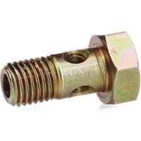 DT Spare Parts Hohlschraube 9.75005 DT Spare Parts Hohlschraube 9.75005 von DT Spare Parts