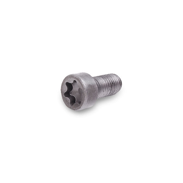 DT Spare Parts Schwungradschraube MERCEDES-BENZ 4.40171 3529902201,3669900501,A3529902201 A3669900501 von DT Spare Parts