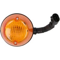 Blinkleuchte DT Spare Parts 3.31054 Blinkleuchte DT Spare Parts 3.31054 von Dt Spare Parts