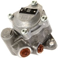 Hydraulikpumpe, Lenkung DT Spare Parts 7.13211 von Dt Spare Parts