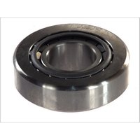 Lager, Eingangswelle, Differential DT Spare Parts 1.16041 von Dt Spare Parts