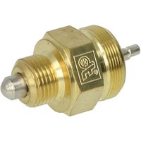 Schalter DT Spare Parts 4.60938 Schalter DT Spare Parts 4.60938 von Dt Spare Parts
