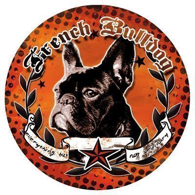 Französische Bulldogge Hunde Aufkleber - French Bulldog Sticker Decal Lilly - Dub von DUB SPENCER