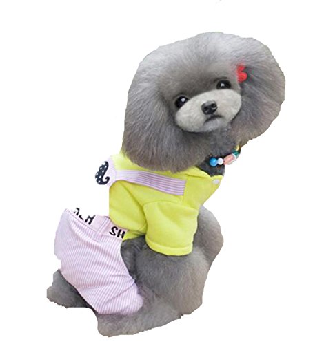 DUOZE Teddy Bichon Hund Kleidung Mode Kleidung Vier Beinen,Yellow-S von DUOZE