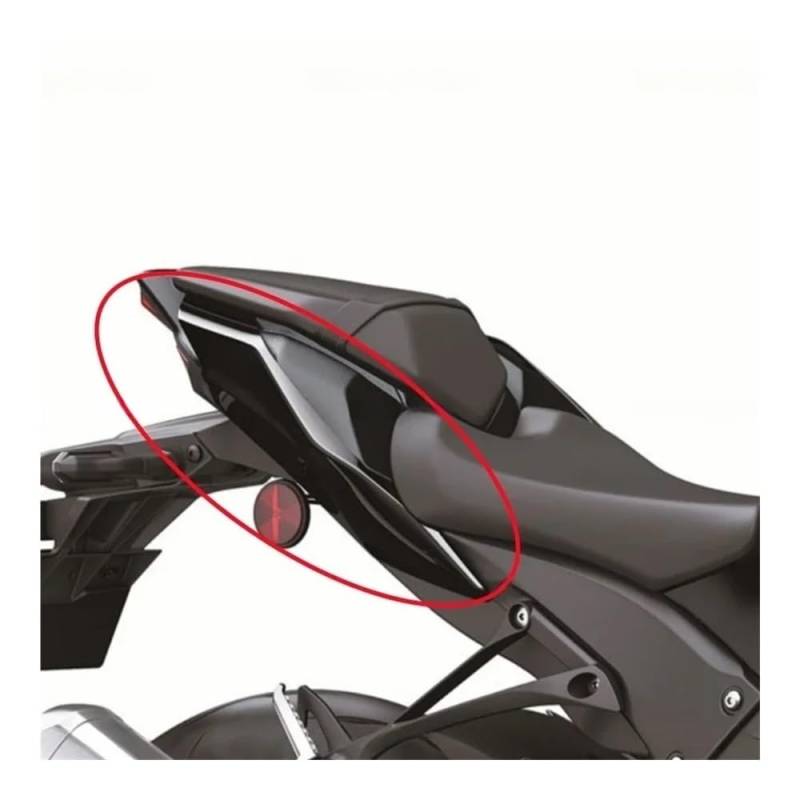 Side Motorrad Verkleidung Für ZX-10R 2021 2022 2023 2024 Motorrad Hinten Seite Panel Abdeckung Gugel Verkleidung Motorrad Verkleidung Seite Panel Verkleidung Seite Panel von DWGVHGVW