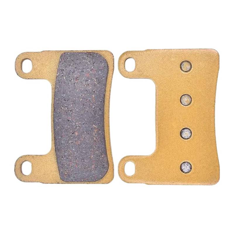 Bremsbeläge Kompatibel mit R1250GS R1250GS Abenteuer R1250R R1250RT(1 Pair Front) von DWOGCEBX