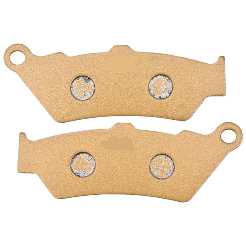 Bremsbeläge Kompatibel mit R1250GS R1250GS Abenteuer R1250R R1250RT(1 Pair Rear) von DWOGCEBX