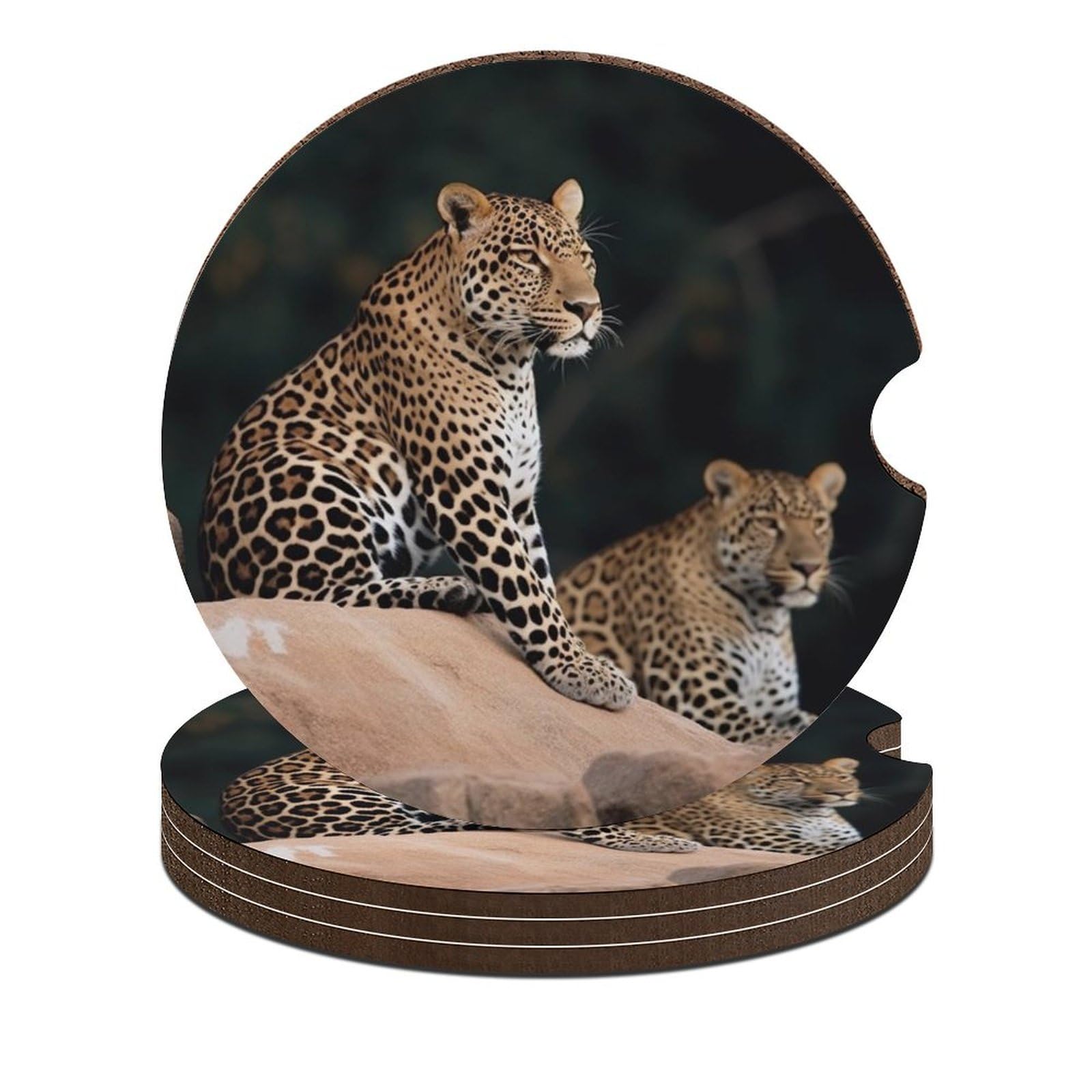 Auto-Untersetzer, Motiv: afrikanischer Leopard auf Felsen, 6,6 cm, rutschfest, universal, Getränkehalter, Untersetzer, Auto-Innenzubehör, Set, Unisex, 4 Stück Auto-Untersetzer, Motiv: afrikanischer Leopard auf Felsen, 6,6 cm, rutschfest, universal, Getränkehalter, Untersetzer, Auto-Innenzubehör, Set, Unisex, 4 Stück von DWTJKMS