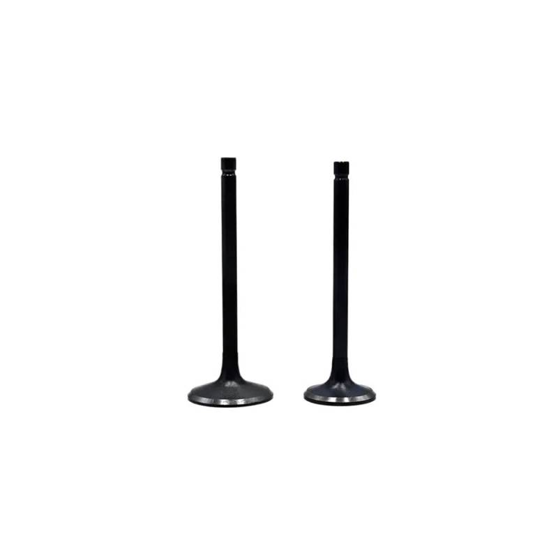 ATV-Teile for Stels ATV 300B BUYANG FEISHEN FA-D300 H300 300 173 Linhai 300cc Motor 2.1.01.0440 2.1.01.0450 LU015156 von DWZSRJLW