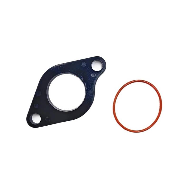 Ansaugkrümmer-Gelenkdichtung mit O-Ring for Stels ATV 300B Buyang 300 2.1.01.0240 LU019847 8.3.01.0090 LU019844 Gelenkdichtung von DWZSRJLW