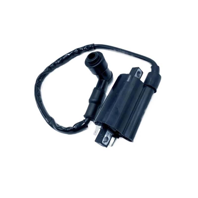 Linhai 22012 Zündspule mit Draht for Linhai 260 300 400 500 520 550 22012 EFI LH260 LH300 LH500 ATV Quad von DWZSRJLW