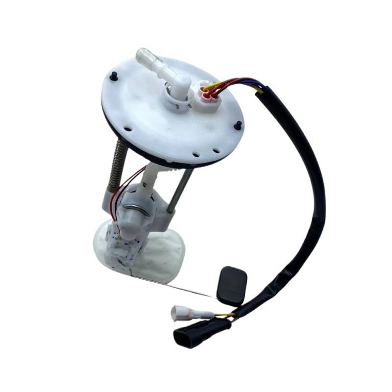 Linhai 36442 Pumpe for LINHAI 500 M550 M565 ATV UTV 36442 von DWZSRJLW