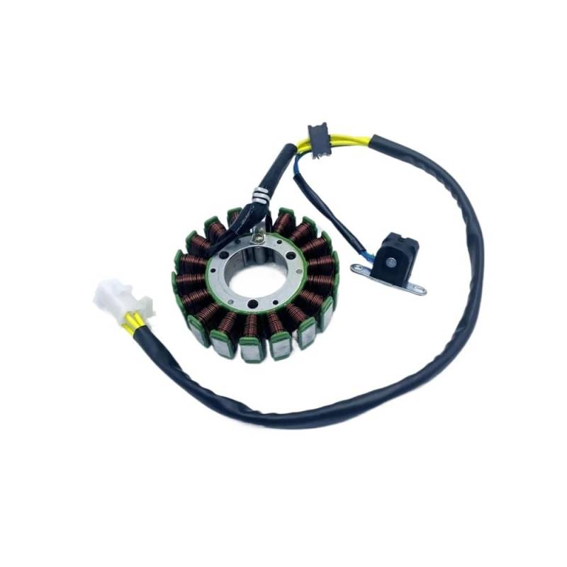 Magnetischer Motor Magneto Stator Anzug for Linhai 260cc 93mm Quad 4x4 UTV ATV Quad Go Kart 24001 93mm von DWZSRJLW