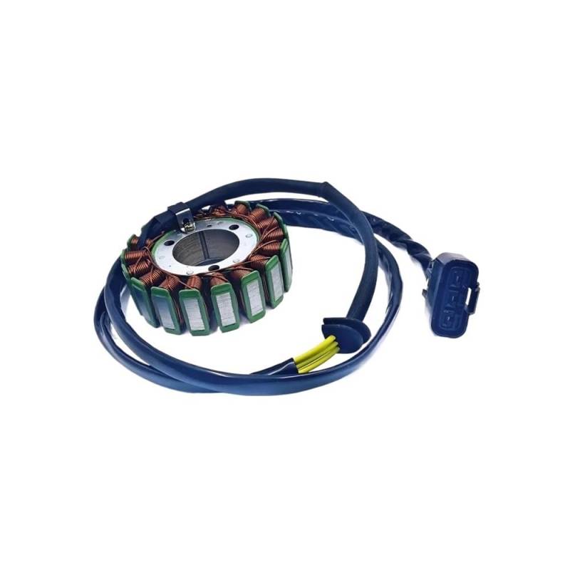 Stator Starter Generator Magneto for ODES Dominator 800 RM PM STELS 800V 31120-E05-0000 21040109701 370101-001-0000 LU049967 von DWZSRJLW