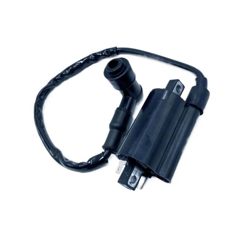 Zündspule mit Draht for Stels ATV 300B Buyang 300 Feishen FA300 D300 G300 H300 Quad LU019139 5.3.01.0240 Hunter XTX 300B von DWZSRJLW