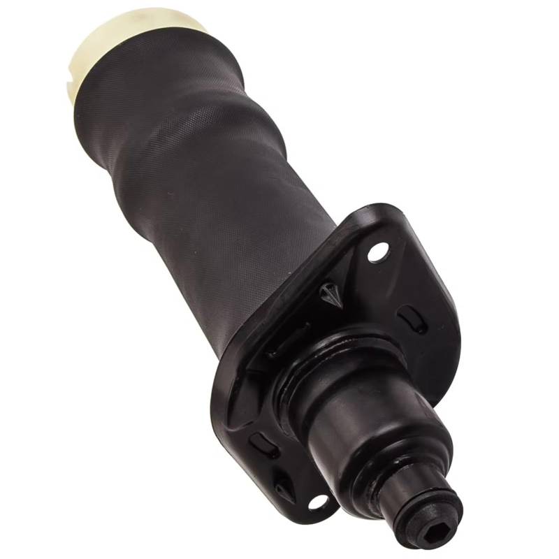 DZWDY Luftfederung Für Autos Kompatibel Mit Allroad Für Quattro A6 C5 4B 2001 2002 2003 2004 Auto-Luftfederung Hinten Links Für Federtasche 4Z7616051A 4Z7 616 051A 4Z7 616 051 A von DZWDY