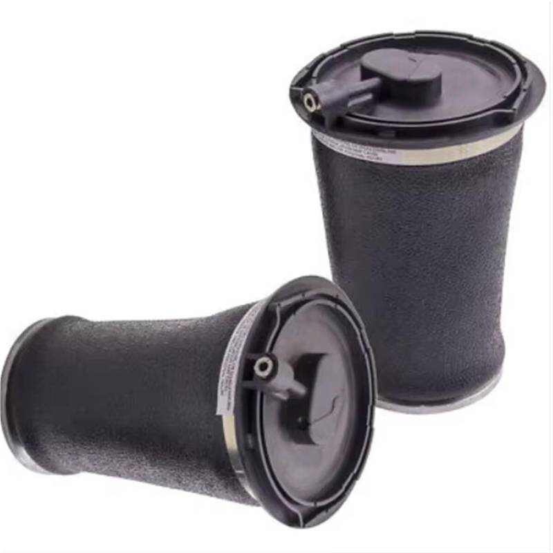 DZWDY Luftfederung Für Autos Kompatibel Mit Land Für Rover Für Range 4.0L 4.6L 1995 1996 1997 1998 1999 2000 2001 2002 2X Linke Und Rechte Luftfedertasche RKB101460E von DZWDY