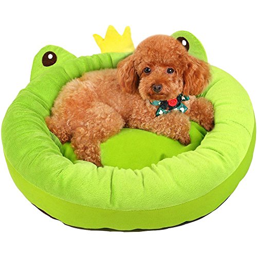 Da Jia Inc Niedlich Frosch Art Haustier Baumwolle Pet Bett Kissen für Hunde Katzen Kleintiere waschbare entfernbare heraus Abdeckung Da Jia Inc Niedlich Frosch Art Haustier Baumwolle Pet Bett Kissen für Hunde Katzen Kleintiere waschbare entfernbare heraus Abdeckung von Da Jia Inc