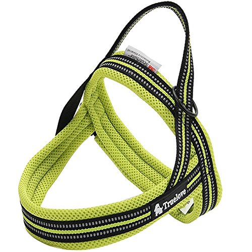 Da Jia Inc No-Pull-Hundegeschirr einstellbar weich Brustgeschirr Hundeweste Harness Soft Mesh Katzengeschirre 3M Night Safety Reflektierendes Hundegeschirre für Large Small Hunde (Grün, XL) von Da Jia Inc