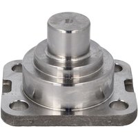 Achsschenkelbolzen DANA SPICER 750.06.036.04-DS Achsschenkelbolzen DANA SPICER 750.06.036.04-DS von Dana Spicer