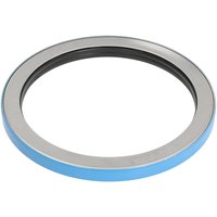 Dichtring-Hinterachse DANA SPICER 070HH325-DS Dichtring-Hinterachse DANA SPICER 070HH325-DS von Dana Spicer