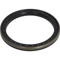 Dichtring-Hinterachse DANA SPICER 123.06.016.03-DS Dichtring-Hinterachse DANA SPICER 123.06.016.03-DS von Dana Spicer
