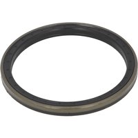 Dichtring-Hinterachse DANA SPICER 755.06.082.01-DS Dichtring-Hinterachse DANA SPICER 755.06.082.01-DS von Dana Spicer