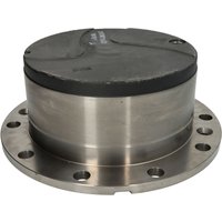 Reparatursatz, Stirnradnabenantrieb DANA SPICER 212.06.710.23-DS Reparatursatz, Stirnradnabenantrieb DANA SPICER 212.06.710.23-DS von Dana Spicer