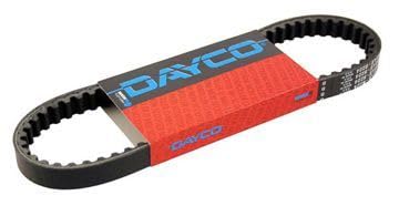 DAYCO 8013 Keilrippenriemen von Dayco