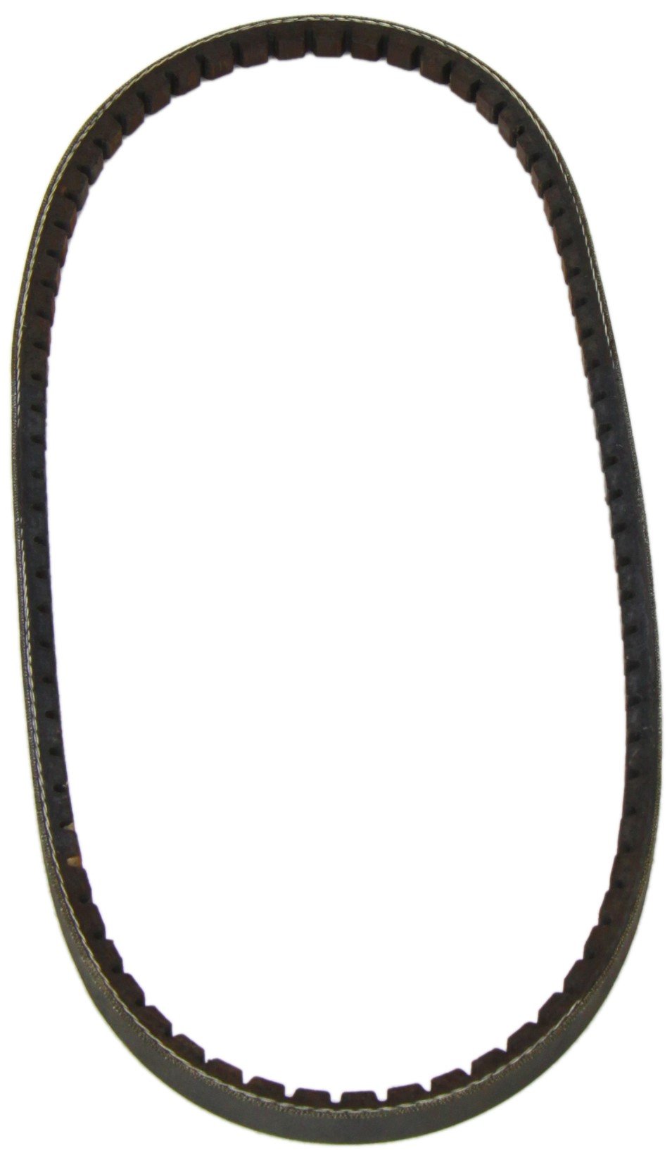 DAYCO 10A0800C Gürtel DAYCO 10A0800C Gürtel von Dayco