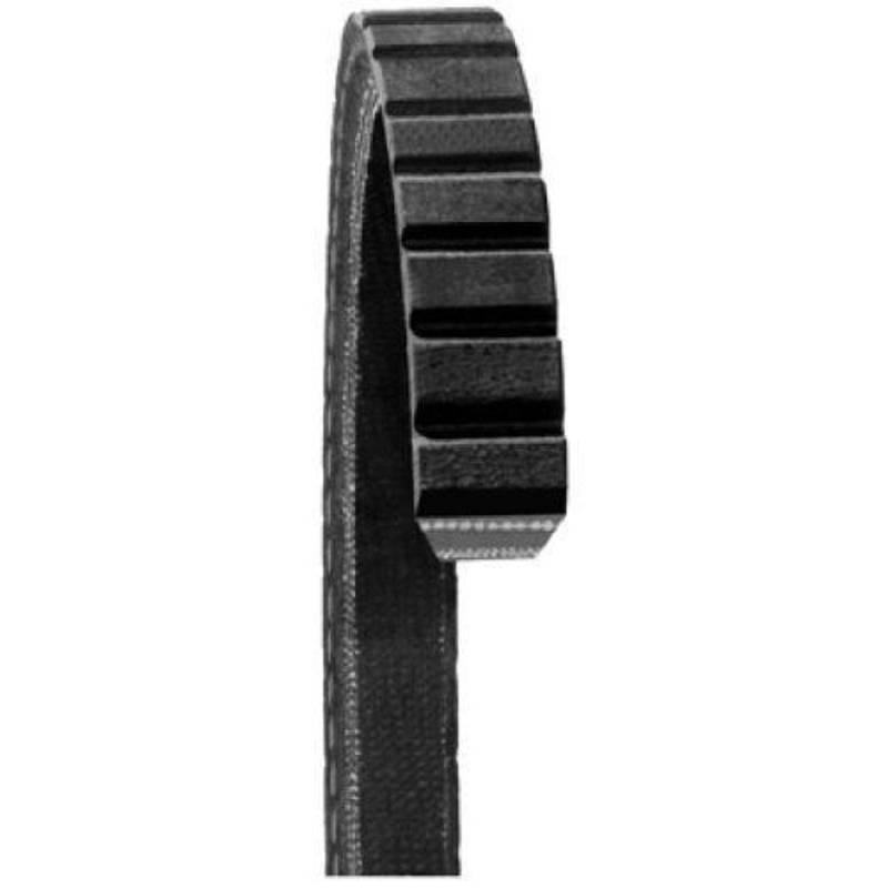 Dayco 15545 Keilriemen von DAYCO