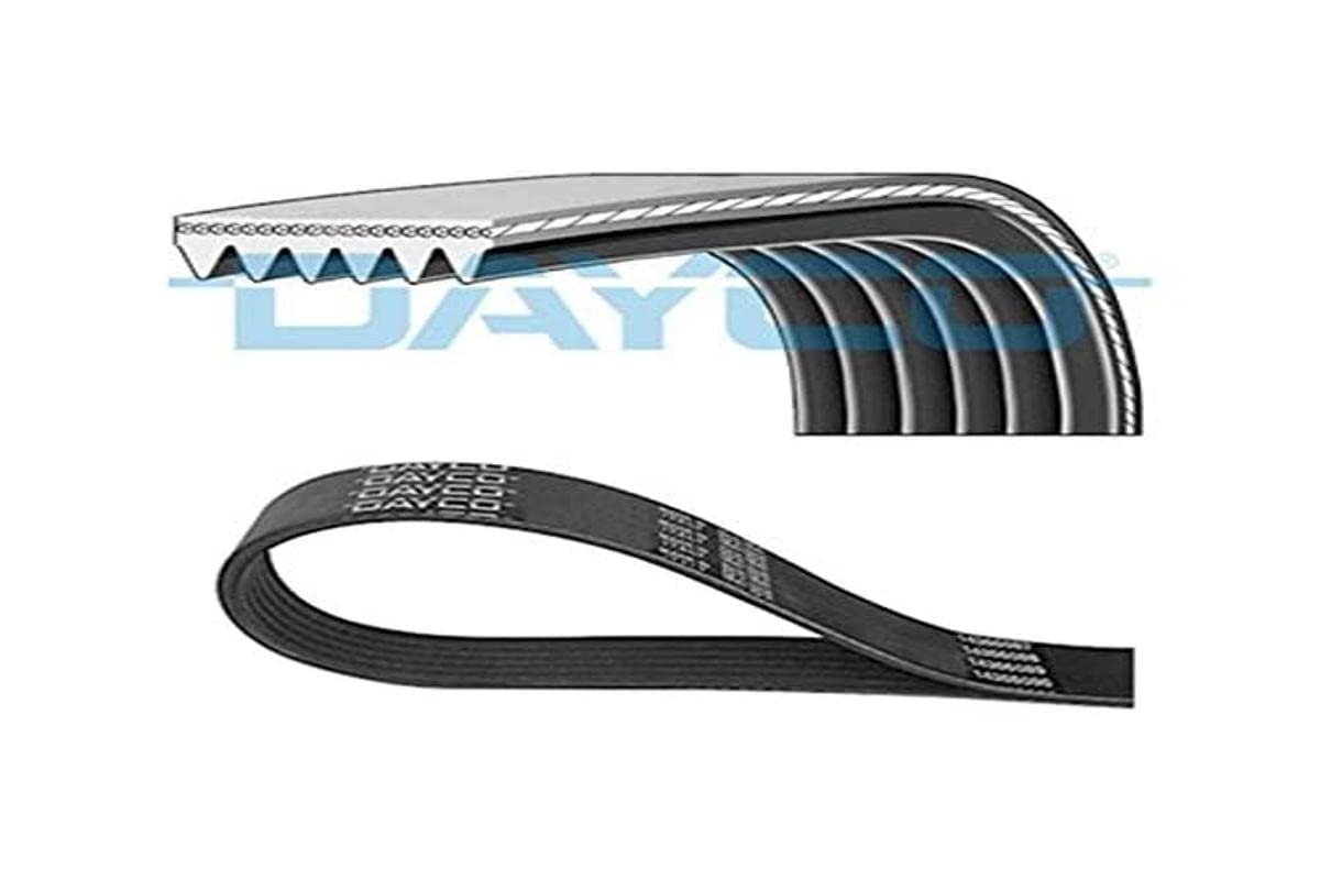 DAYCO 6PK2080S Gürtel-Zubehör DAYCO 6PK2080S Gürtel-Zubehör von Dayco