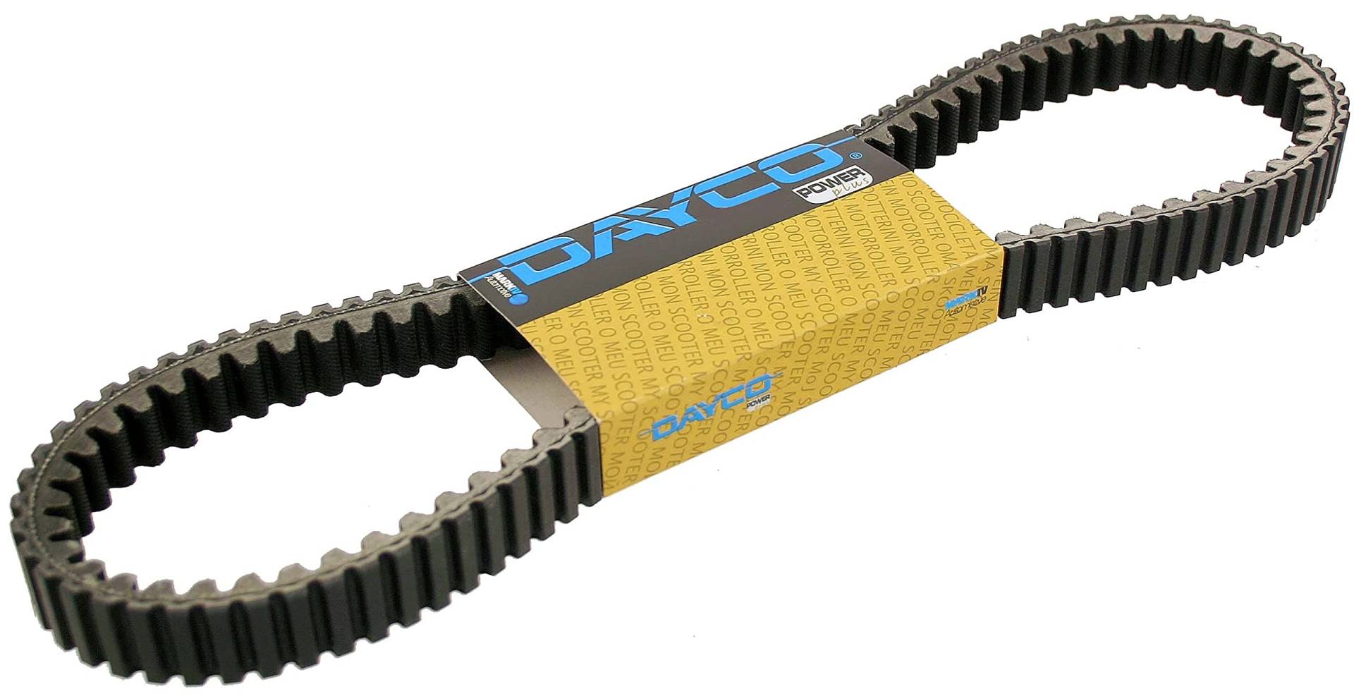 Dayco 8196K Power Plus Keilriemen Kevlar Verstärkt, L954 X B22.6 Dayco 8196K Power Plus Keilriemen Kevlar Verstärkt, L954 X B22.6 von Dayco