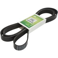 Keilrippenriemen DAYCO DAY8PK2550AGRI Keilrippenriemen DAYCO DAY8PK2550AGRI von Dayco