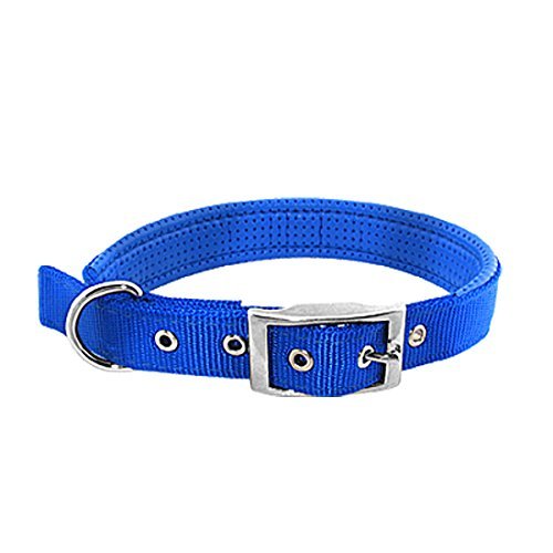 Leer High Strength Nylon halsband riem, medium blauw von DealMux