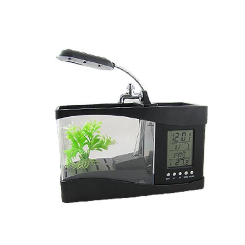 Schreibtisch Ornament Stifthalter Multifunktions Fish Tank Schreibtisch Ornament Stifthalter Multifunktions Fish Tank von DealMux