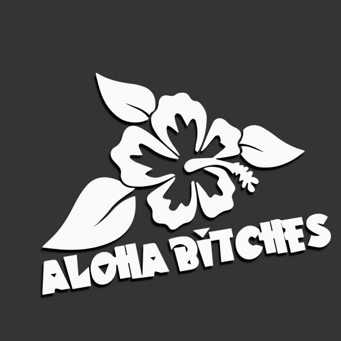Decus Aloha Bitches Hibiskus Hawaii XL 0257 (weiß) // Sticker OEM JDM Style Aufkleber von Decus