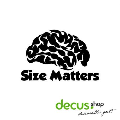 Decus Gehirn Brain Size Matters // Sticker OEM JDM Style Aufkleber von Decus
