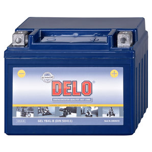 DELO Gel Batterie Delo von Delo