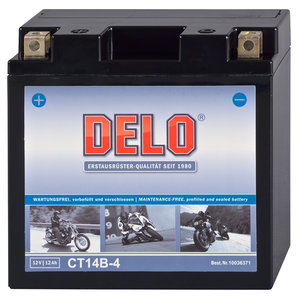 DELO Mikrovlies-Batterie befüllt und verschlossen Delo von Delo
