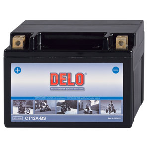 DELO Mikrovlies-Batterie befüllt und verschlossen Delo von Delo