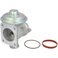 AGR Ventil DELPHI EG10433-12B1 AGR Ventil DELPHI EG10433-12B1 von Delphi