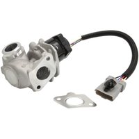 AGR Ventil DELPHI EG10435-12B1 AGR Ventil DELPHI EG10435-12B1 von Delphi