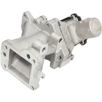 AGR Ventil DELPHI EG10437-12B1 AGR Ventil DELPHI EG10437-12B1 von Delphi