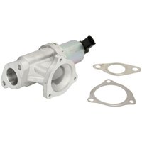 AGR Ventil DELPHI EG10442-12B1 von Delphi