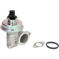 AGR Ventil DELPHI EG10449 AGR Ventil DELPHI EG10449 von Delphi