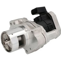 AGR Ventil DELPHI EG10455 AGR Ventil DELPHI EG10455 von Delphi