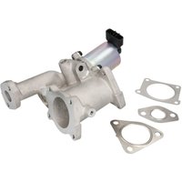 AGR Ventil DELPHI EG10460-12B1 von Delphi